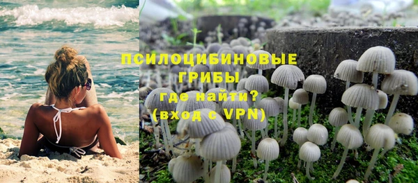 ГАЛЛЮЦИНОГЕННЫЕ ГРИБЫ Армянск