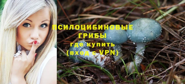 ГАЛЛЮЦИНОГЕННЫЕ ГРИБЫ Армянск